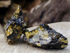 Natural Copal Amber Specimens with Insect and Plant Inclusions x 11 From Lemur Island, Madagascar - Toprock Gemstones and Minerals 