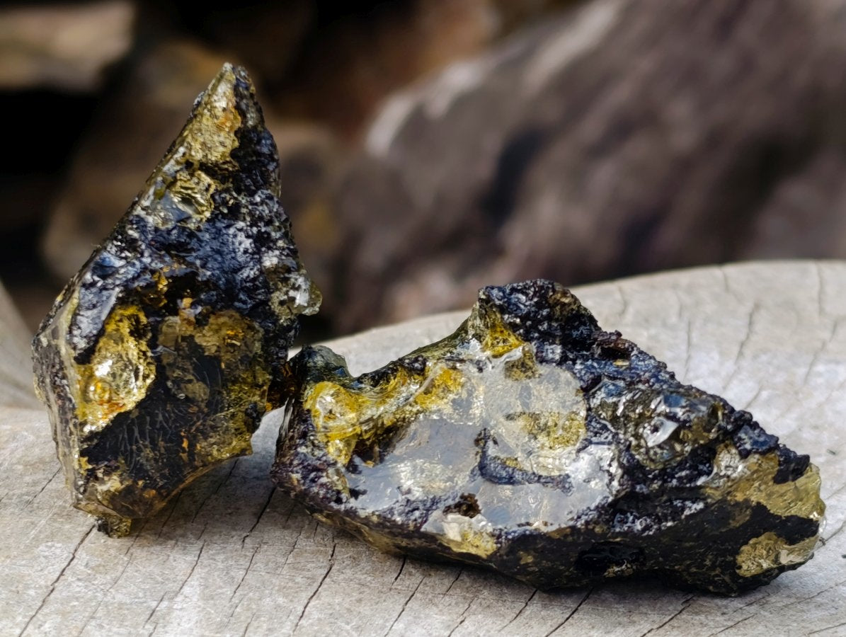 Natural Copal Amber Specimens with Insect and Plant Inclusions x 11 From Lemur Island, Madagascar - Toprock Gemstones and Minerals 