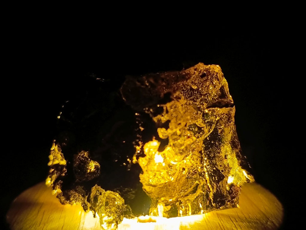 Natural Copal Amber Specimens with Insect and Plant Inclusions x 11 From Lemur Island, Madagascar - Toprock Gemstones and Minerals 