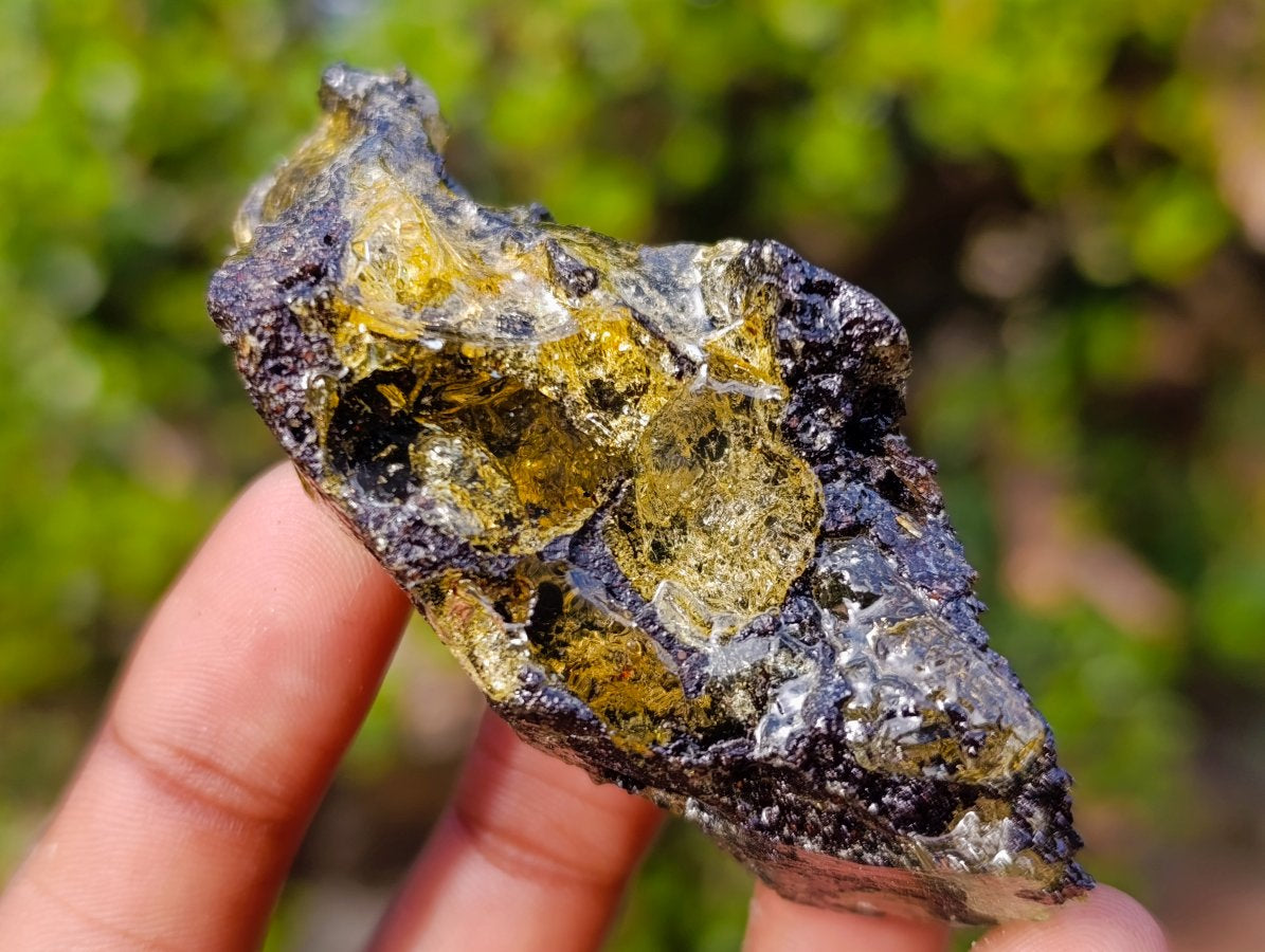 Natural Copal Amber Specimens with Insect and Plant Inclusions x 11 From Lemur Island, Madagascar - Toprock Gemstones and Minerals 
