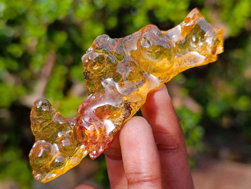 Natural Copal Amber Specimens with Insect and Plant Inclusions x 11 From Lemur Island, Madagascar - Toprock Gemstones and Minerals 