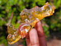 Natural Copal Amber Specimens with Insect and Plant Inclusions x 11 From Lemur Island, Madagascar - Toprock Gemstones and Minerals 