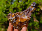 Natural Copal Amber Specimens with Insect and Plant Inclusions x 11 From Lemur Island, Madagascar - Toprock Gemstones and Minerals 