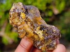 Natural Copal Amber Specimens with Insect and Plant Inclusions x 11 From Lemur Island, Madagascar - Toprock Gemstones and Minerals 