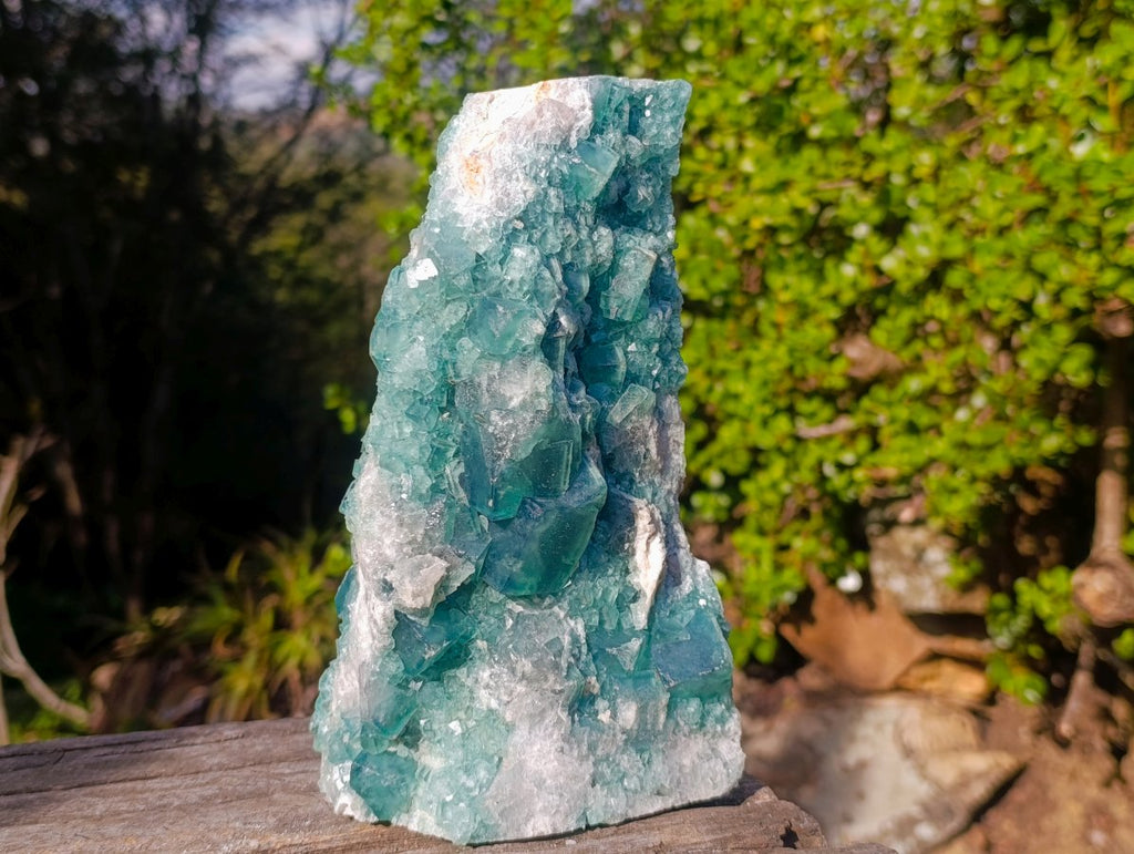 Natural Large Green Cubic Fluorite Specimen x 1 From Mandrosonoro, Madagascar - Toprock Gemstones and Minerals 