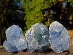 Natural Blue Celestite Specimens x 21 From Sakoany, Madagascar - Toprock Gemstones and Minerals 