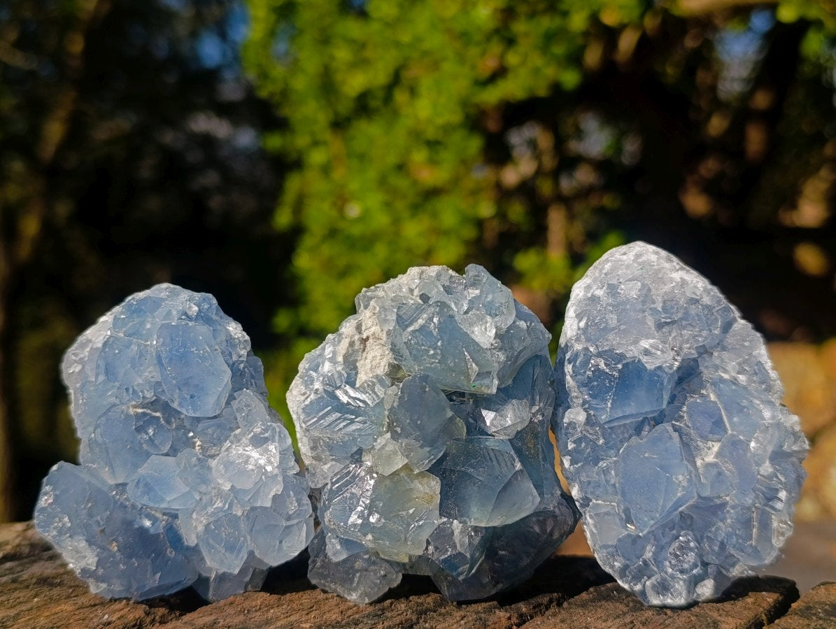 Natural Blue Celestite Specimens x 21 From Sakoany, Madagascar - Toprock Gemstones and Minerals 