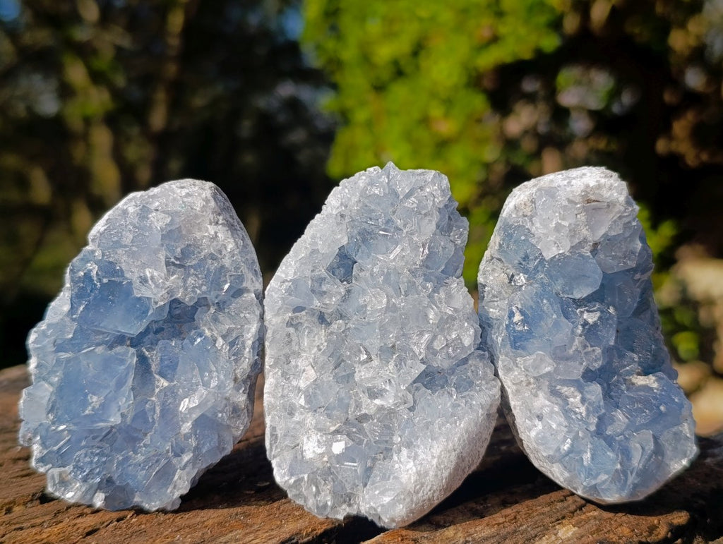 Natural Blue Celestite Specimens x 21 From Sakoany, Madagascar - Toprock Gemstones and Minerals 