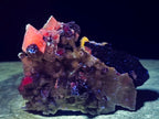 Natural Rhomboherdral and Spearhead Calcite Specimens x 2 From Albert's Mountain, Lesotho - Toprock Gemstones and Minerals 