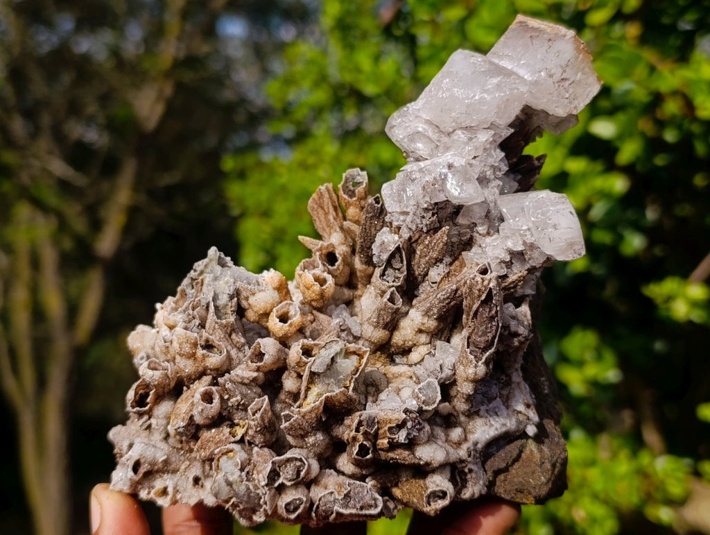 Natural Rhomboherdral and Spearhead Calcite Specimens x 2 From Albert's Mountain, Lesotho - Toprock Gemstones and Minerals 