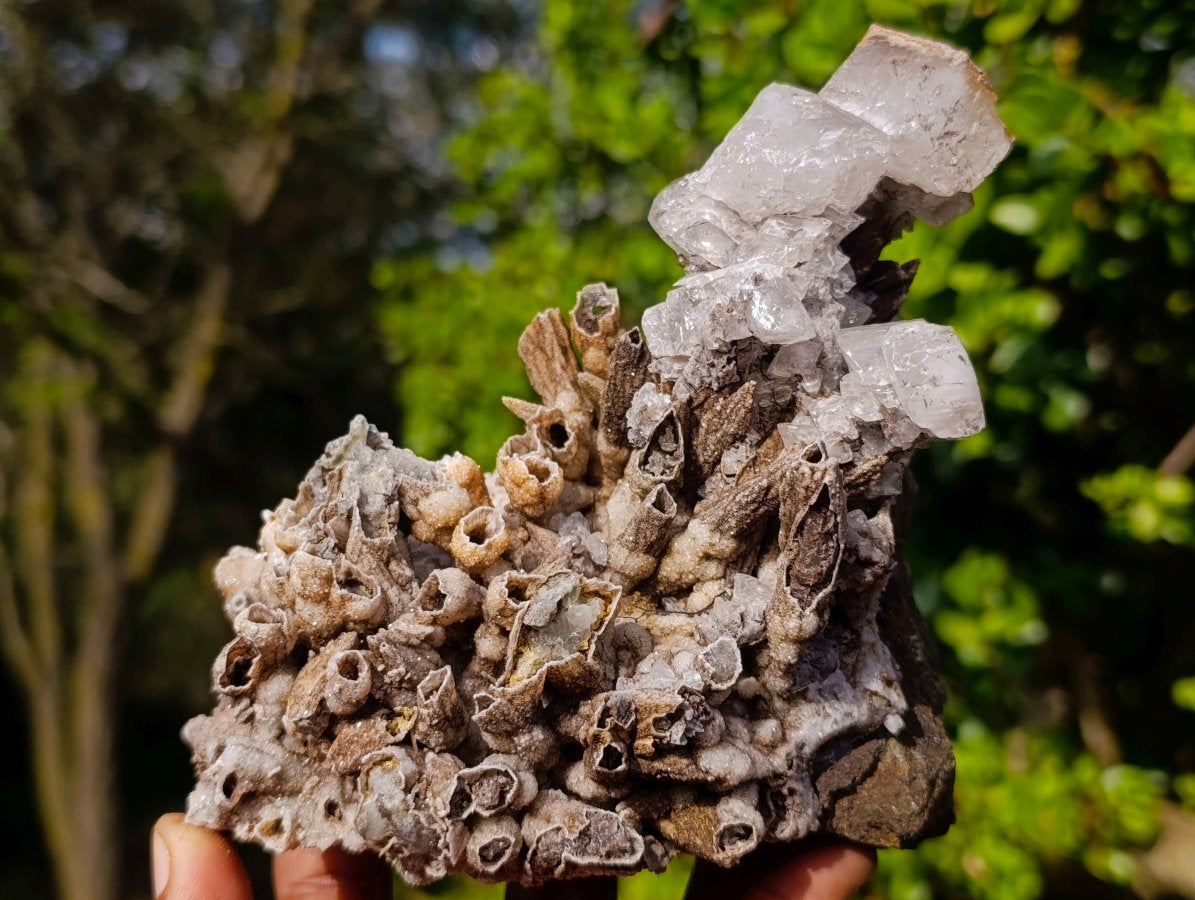 Natural Rhomboherdral and Spearhead Calcite Specimens x 2 From Albert's Mountain, Lesotho - Toprock Gemstones and Minerals 