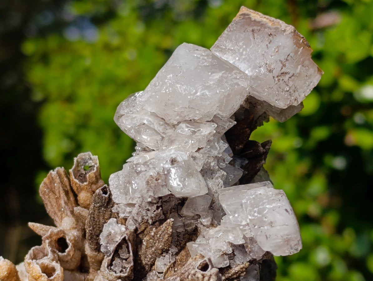 Natural Rhomboherdral and Spearhead Calcite Specimens x 2 From Albert's Mountain, Lesotho - Toprock Gemstones and Minerals 