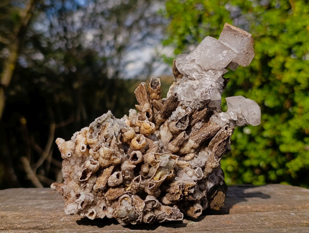 Natural Rhomboherdral and Spearhead Calcite Specimens x 2 From Albert's Mountain, Lesotho - Toprock Gemstones and Minerals 