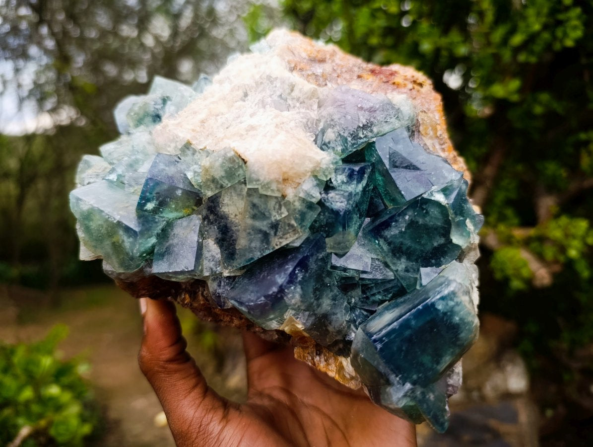 Natural Large Green Cubic Fluorite Specimen x 1 From Mandrosonoro, Madagascar - Toprock Gemstones and Minerals 