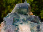 Natural Large Green Cubic Fluorite Specimen x 1 From Mandrosonoro, Madagascar - Toprock Gemstones and Minerals 