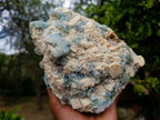 Natural Large Green Cubic Fluorite Specimen x 1 From Mandrosonoro, Madagascar - Toprock Gemstones and Minerals 