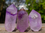 Polished Window Amethyst Double Terminated Crystals x 12 From Akansobe, Madagascar - Toprock Gemstones and Minerals 