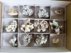 Natural Drusy Snow White Quartz Clusters x 12 From Madagascar - Toprock Gemstones and Minerals 