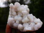 Natural Drusy Snow White Quartz Clusters x 12 From Madagascar - Toprock Gemstones and Minerals 