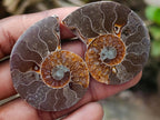 Polished Cleoniceras Opalized Ammonite Fossil Pairs x 12 From Tulear, Madagascar - Toprock Gemstones and Minerals 