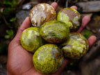 Polished Green Opal Palm Stones x 24 From Betroka, Madagascar - Toprock Gemstones and Minerals 