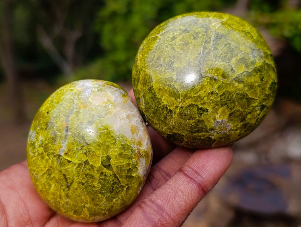 Polished Green Opal Palm Stones x 24 From Betroka, Madagascar - Toprock Gemstones and Minerals 