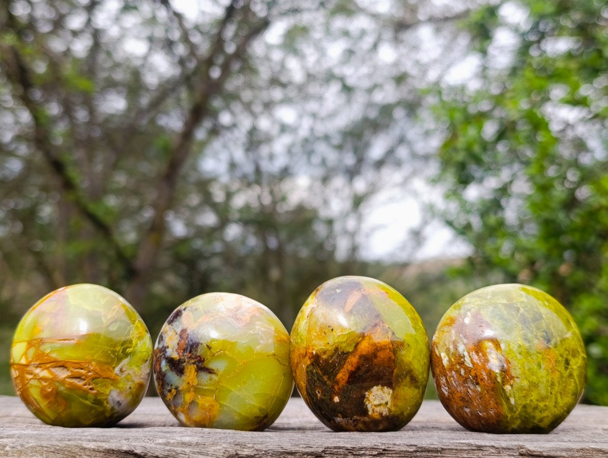 Polished Green Opal Palm Stones x 24 From Betroka, Madagascar - Toprock Gemstones and Minerals 
