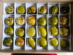 Polished Green Opal Palm Stones x 24 From Betroka, Madagascar - Toprock Gemstones and Minerals 