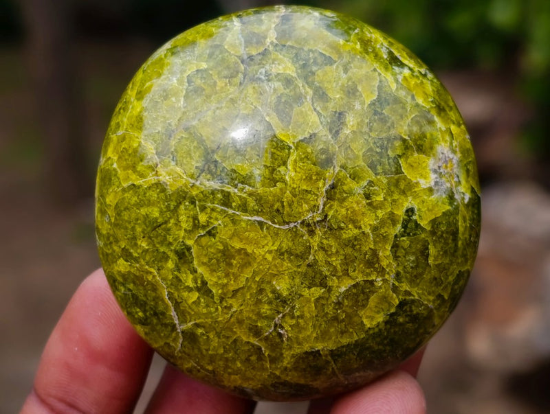 Polished Green Opal Palm Stones x 24 From Betroka, Madagascar - Toprock Gemstones and Minerals 