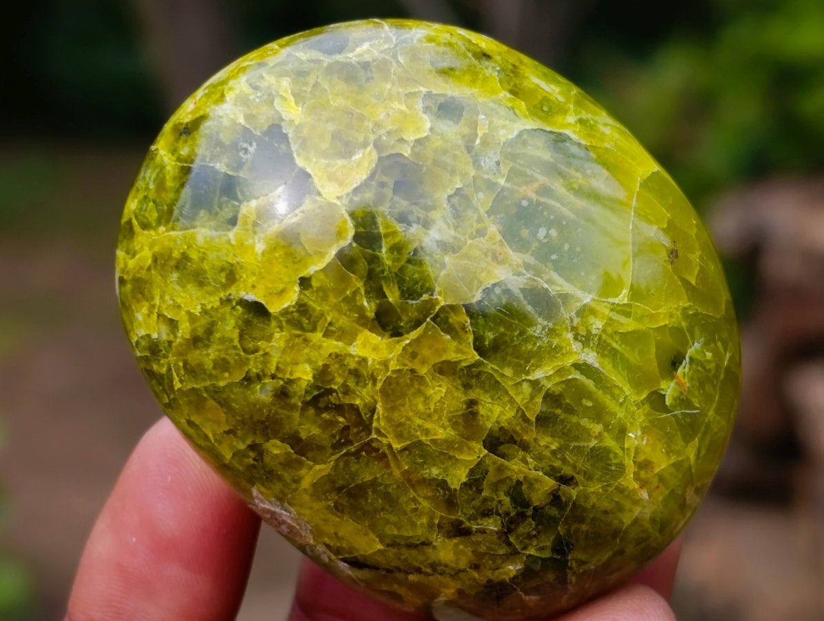 Polished Green Opal Palm Stones x 24 From Betroka, Madagascar - Toprock Gemstones and Minerals 