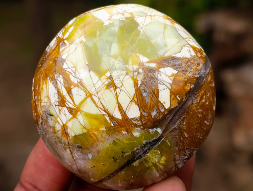 Polished Green Opal Palm Stones x 24 From Betroka, Madagascar - Toprock Gemstones and Minerals 