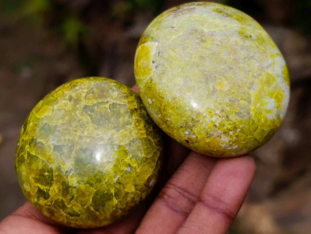 Polished Green Opal Palm Stones x 24 From Betroka, Madagascar - Toprock Gemstones and Minerals 