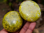Polished Green Opal Palm Stones x 24 From Betroka, Madagascar - Toprock Gemstones and Minerals 