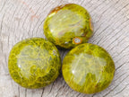 Polished Green Opal Palm Stones x 24 From Betroka, Madagascar - Toprock Gemstones and Minerals 