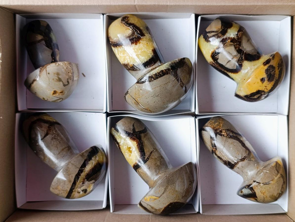 Polished Large Septerye Mushrooms x 6 From Mahajanga, Madagascar - Toprock Gemstones and Minerals 