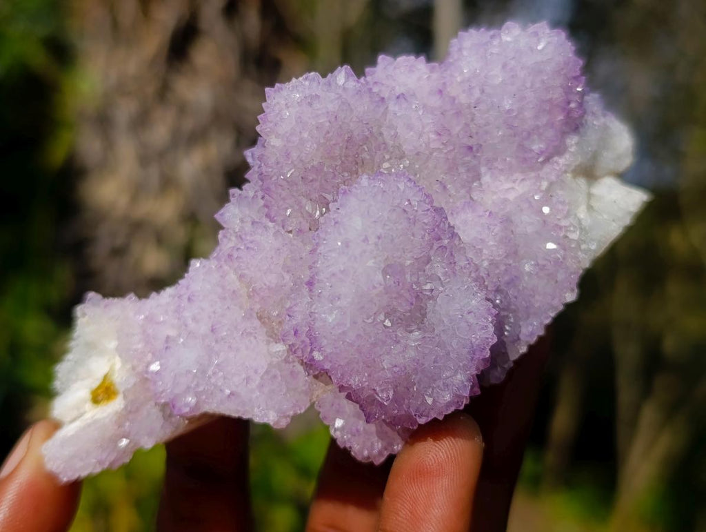 Natural Spirit Amethyst and Spirit Quartz Clusters x 6 From Boekenhouthoek, South Africa - Toprock Gemstones and Minerals 