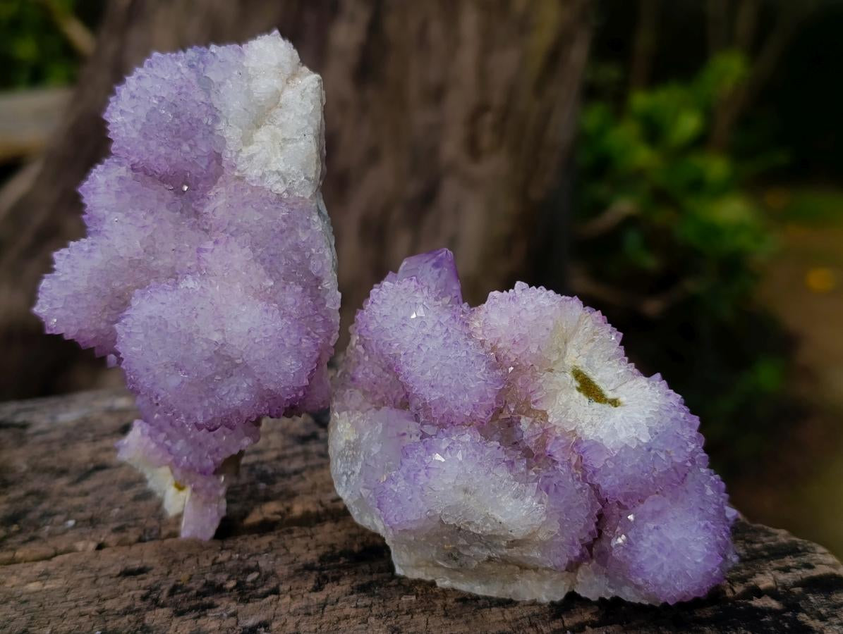 Natural Spirit Amethyst and Spirit Quartz Clusters x 6 From Boekenhouthoek, South Africa - Toprock Gemstones and Minerals 