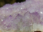 Natural Spirit Amethyst and Spirit Quartz Clusters x 6 From Boekenhouthoek, South Africa - Toprock Gemstones and Minerals 