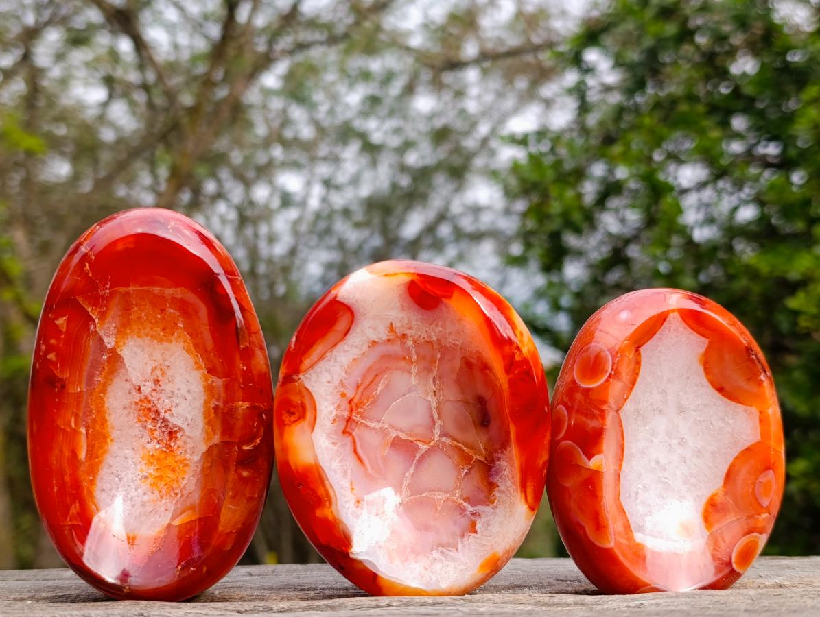 Polished Carnelian Agate Gemstone Bowls x 12 From Madagascar - Toprock Gemstones and Minerals 