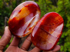 Polished Carnelian Agate Gemstone Bowls x 12 From Madagascar - Toprock Gemstones and Minerals 