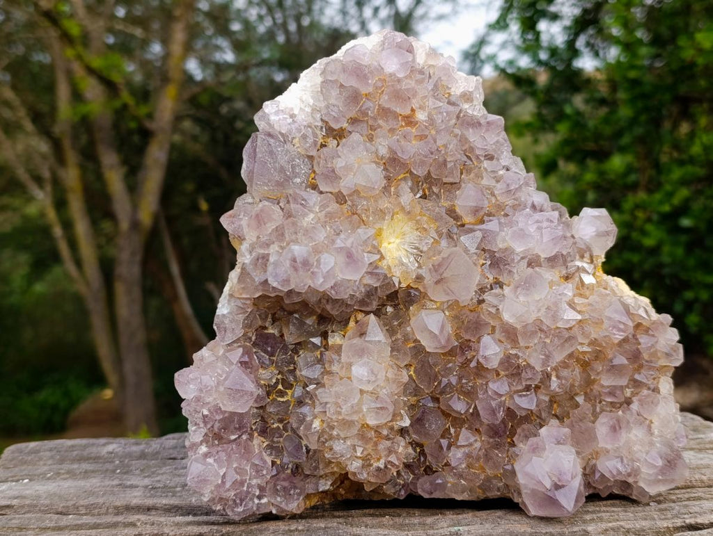 Natural Large Spirit Ametrine Cluster x 1 From Boekenhouthoek, South Africa - Toprock Gemstones and Minerals 