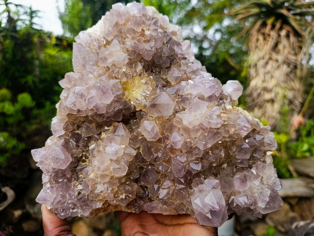 Natural Large Spirit Ametrine Cluster x 1 From Boekenhouthoek, South Africa - Toprock Gemstones and Minerals 