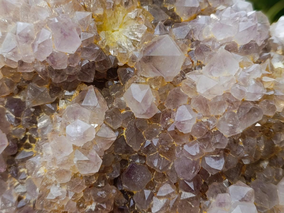 Natural Large Spirit Ametrine Cluster x 1 From Boekenhouthoek, South Africa - Toprock Gemstones and Minerals 