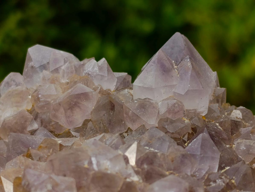 Natural Large Spirit Ametrine Cluster x 1 From Boekenhouthoek, South Africa - Toprock Gemstones and Minerals 
