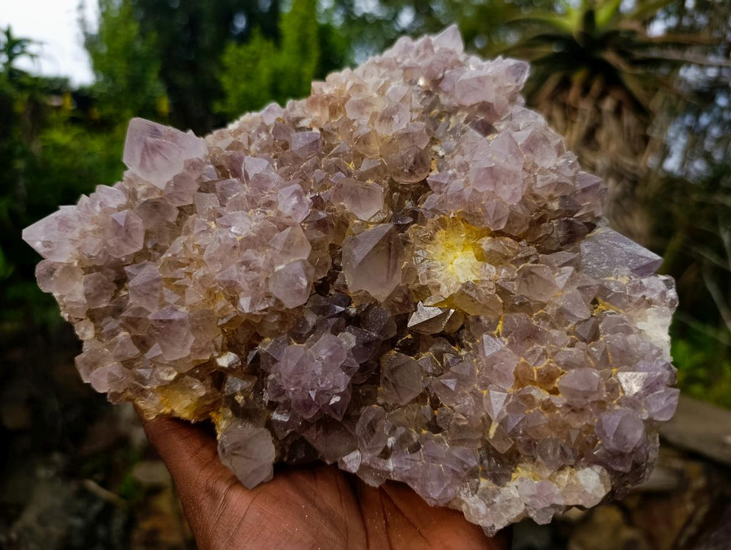 Natural Large Spirit Ametrine Cluster x 1 From Boekenhouthoek, South Africa - Toprock Gemstones and Minerals 