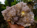 Natural Large Spirit Ametrine Cluster x 1 From Boekenhouthoek, South Africa - Toprock Gemstones and Minerals 