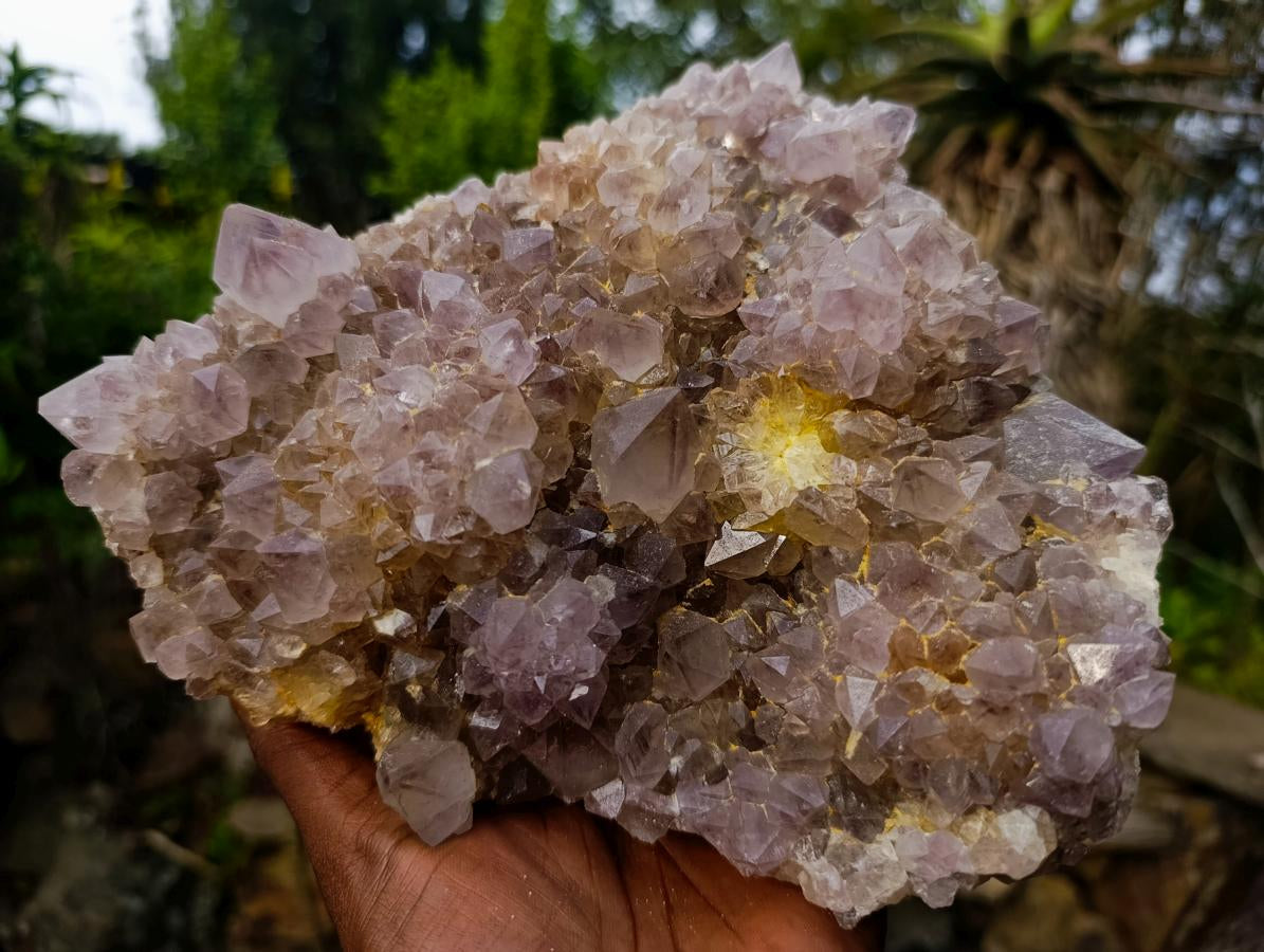 Natural Large Spirit Ametrine Cluster x 1 From Boekenhouthoek, South Africa - Toprock Gemstones and Minerals 
