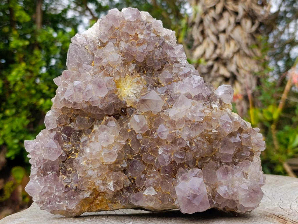 Natural Large Spirit Ametrine Cluster x 1 From Boekenhouthoek, South Africa - Toprock Gemstones and Minerals 