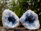 Natural Blue Celestite Geode Specimens x 2 From Sakoany, Madagascar - Toprock Gemstones and Minerals 