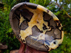 Polished Septerye Bowls x 2 From Mahajanga, Madagascar - Toprock Gemstones and Minerals 